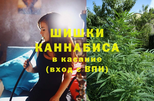 мяу мяу мука Пролетарск