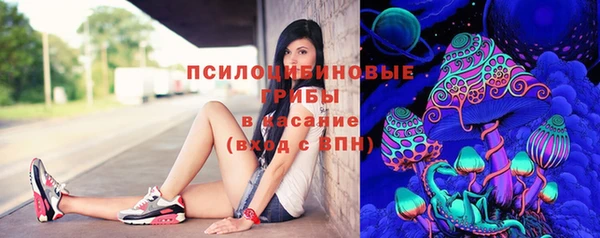 МДПВ Алексеевка